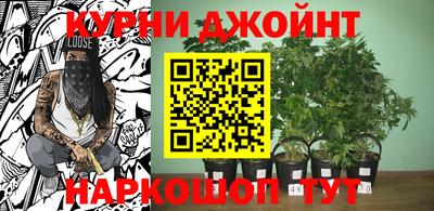 mdpv Камышлов
