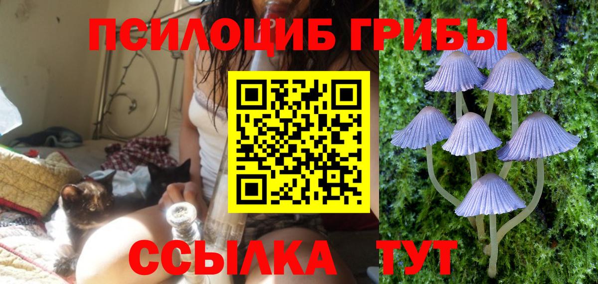 Псилоцибиновые грибы прущие грибы Майский