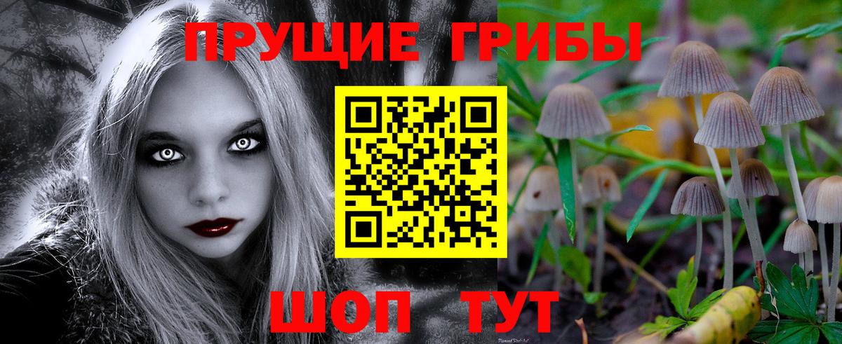 Псилоцибиновые грибы GOLDEN TEACHER  Вход с VPN  где купить наркоту  Майский 